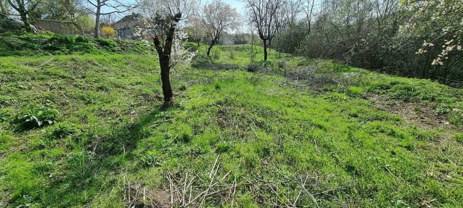 Teren Intravilan Oradea (Saldabagiu de Munte)Zona Hanul Pescarilor - 1
