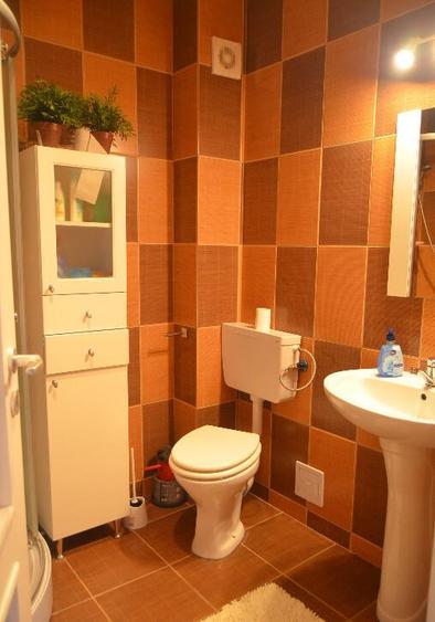 Busteni-Apartament cu trei camere,mobilat si utilat - 9