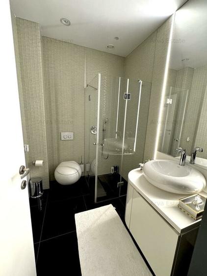 Descopera Luxul: Penthouse 414 mp în Cartierul Francez Herastrau Nordului - 13