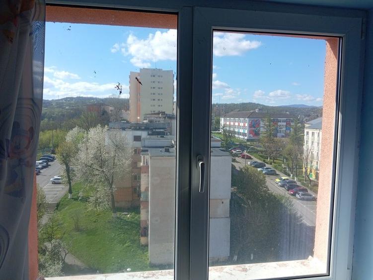 Aparatament cu 2 camere 38mp micro 7 - 4