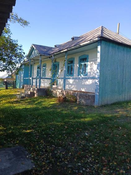 Vand casa batranesca - 6