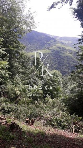 Teren de vanzare 10.000 mp/ parcelabil, cu utiitati, 4 euro/ mp! Maguri Racatau! - 5