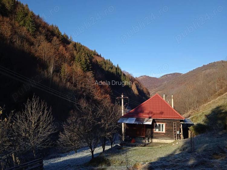 Cabana de vanzare in peisaj idilic intr-un sat de rasfirat de munte in Apuseni Cabana de vanzare in peisaj idilic intr-un sat de rasfirat de munte in Apuseni