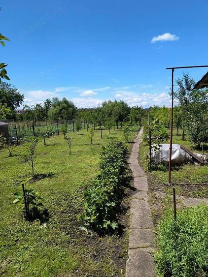 Casa de vanzare Reghin - 6