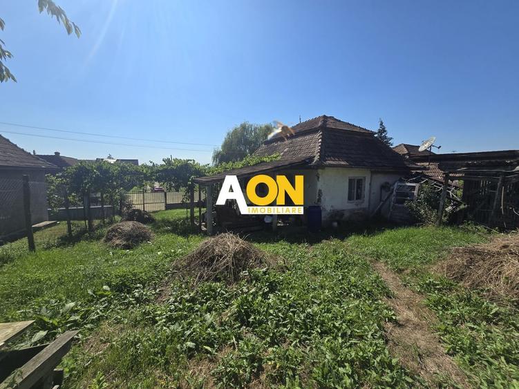 Comision 0%! Casa 3 camere Gura Ariesului, 1500mp Teren - 10