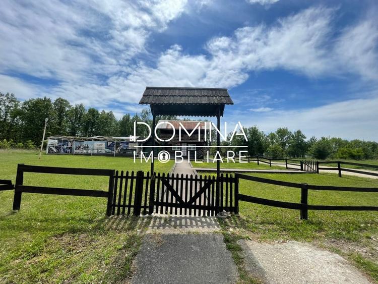 Vanzare teren *oportunitate investitie* situat in Carbunesti-Sat, la DN 67B - 4