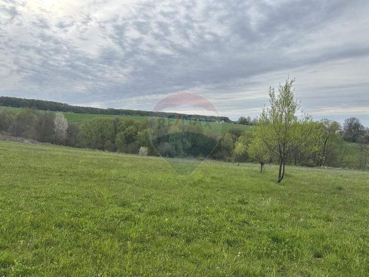 Teren Construcții intravilan de 3000 mp, în Oșlobeni