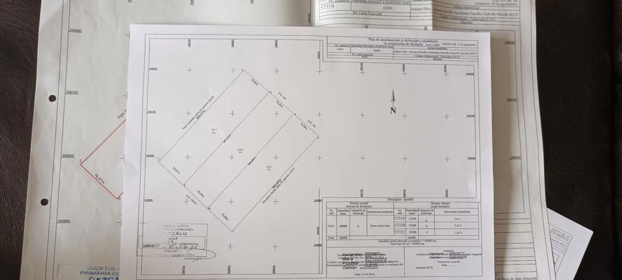 Teren intravilan de vanzare tarlaua 48 Dascalu Ilfov 66000 mp - 7