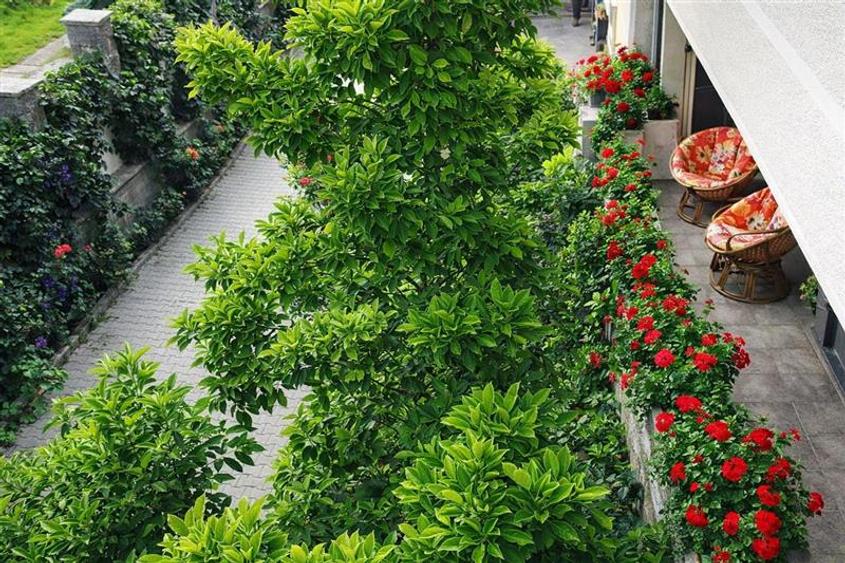 Confort modern, in aria centrala a Brasovului - 1