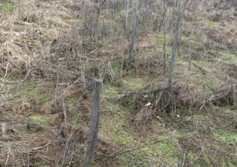 Terenarabil de 700mp la 10000 euro la 60 mp de str E70 Raco - 1