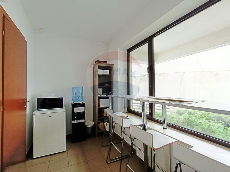 Vanzare Spatiu Comercial / Birou, Str. Popa Tatu -Cismigiu, Investitie - 12
