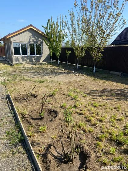 Oaza de relaxare - 2