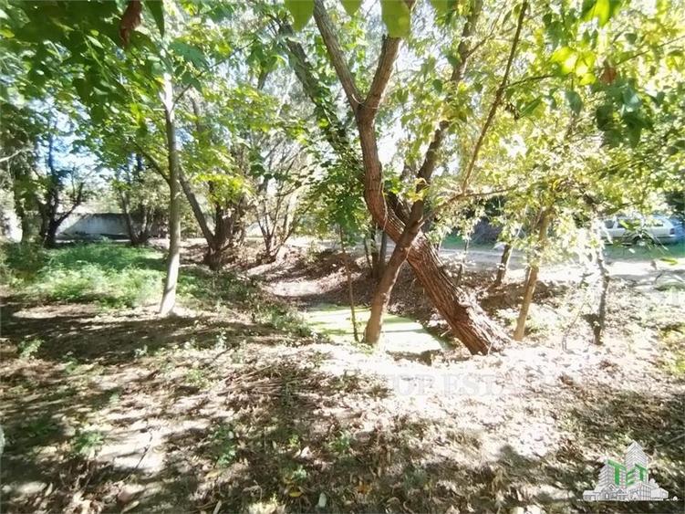 Vila 7 camere- 300 mpu+ curte 2000 mp- Giulesti- Sector 6 - 9