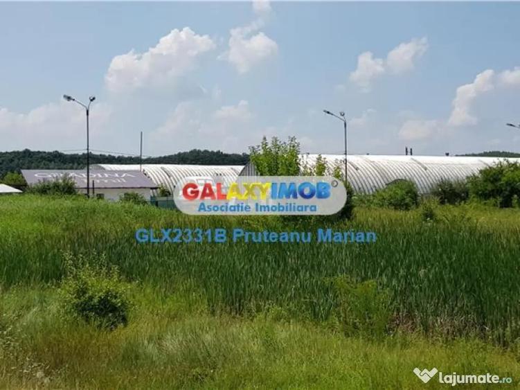 Lot teren de 8300 mp foarte aproape de Therme Balotesti-Oto - 3