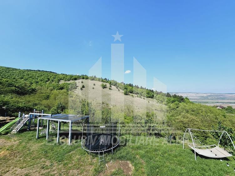 Casa individuala | 300 mp | 1000 mp teren | Mobilata | Micesti - 17