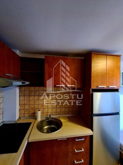 Garsoniera Buziasului - 3