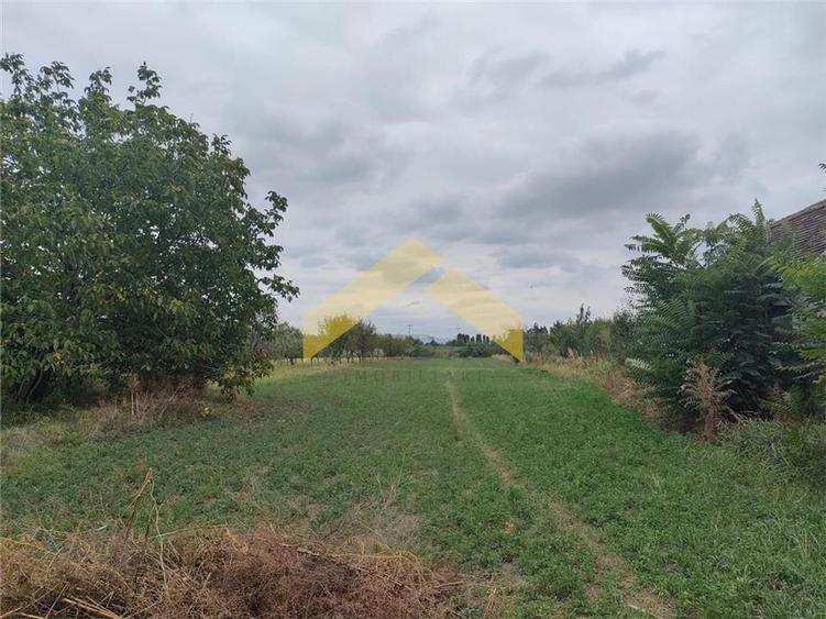 Casa cu teren de vanzare Santana - 9