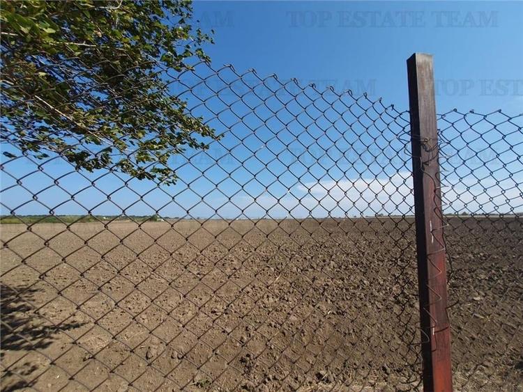 Teren intravilan agricol si teren curti constructii Lot 2 Parcela A326/49 - 17