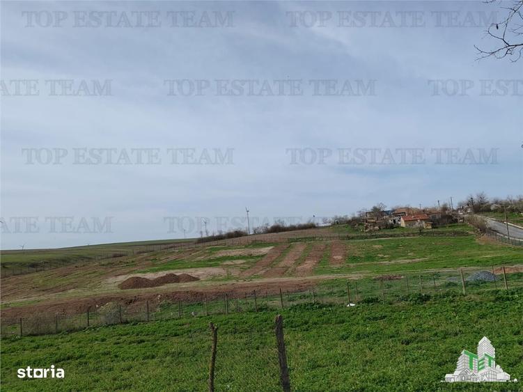 Teren intravilan cu utilitati 4350 mp Pantelimon Jud Constanta - 5