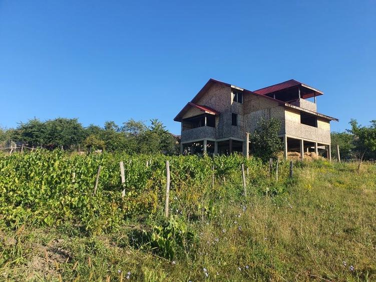 Casa de vanzare,2000 mp teren - 2