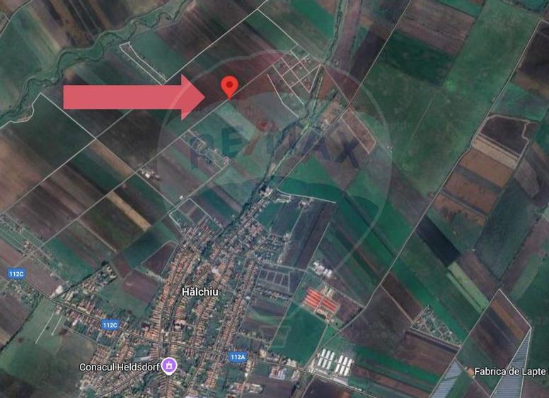 Teren 30.000 MP | Hălchiu |  Jud. Brasov - 6