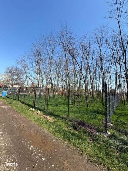 Vand teren intravilan Gruiu-Lipia - 4