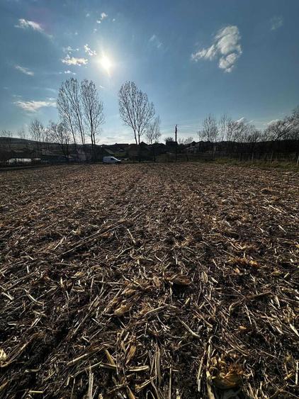 Teren extravilan 9000 mp Corusu, Baciu, drum, ideal investitie - 4