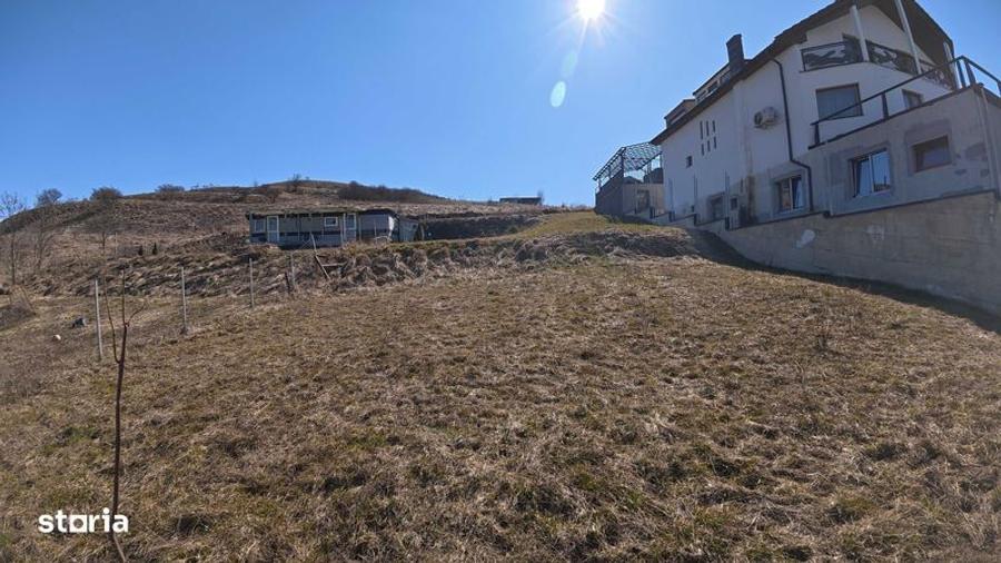 Teren Sannicoara - Strada Sperantei - 3