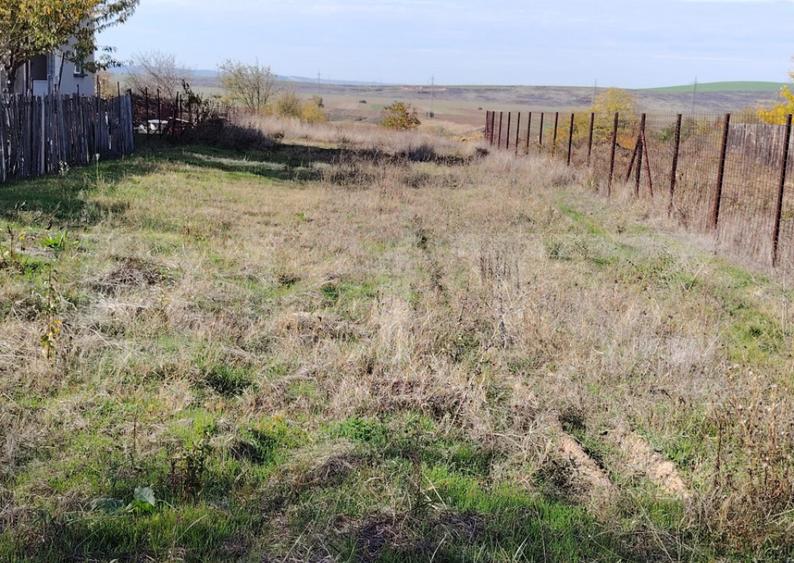 Teren intravilan, 1748 mp, Simnicu de Sus - 3