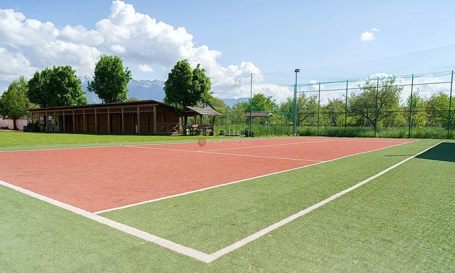 Proximitate fata de Castelul Bran - 53