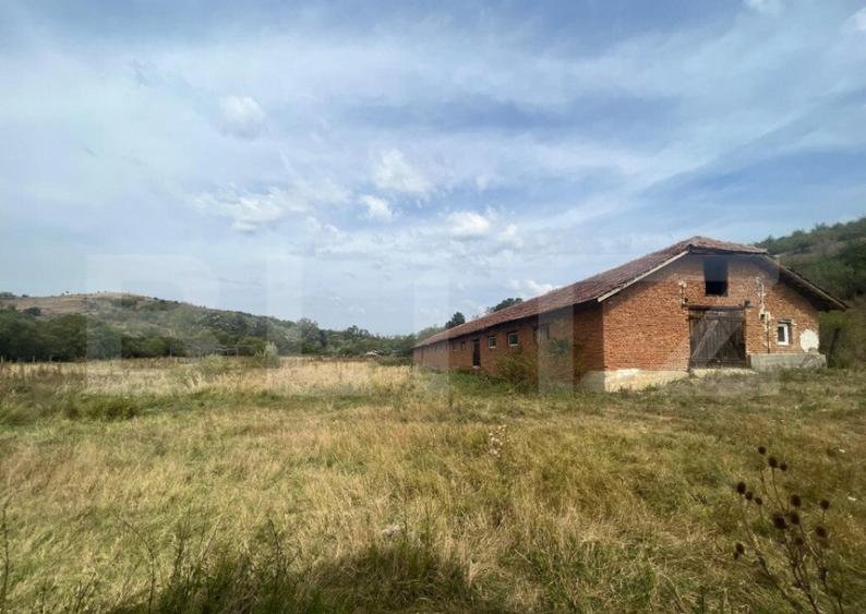 Ferma cu 3000 mp de teren si o constructie de 580 mp - 2