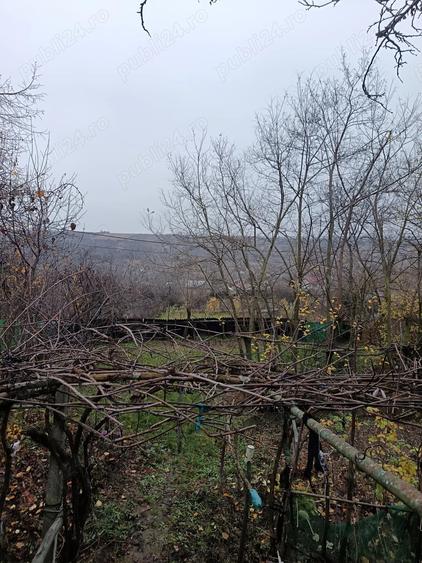 Vand casa Perieni - 4