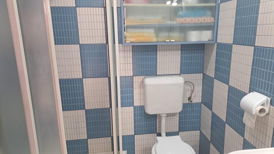 Vila compusa din P+M situata in zona Abator - 10