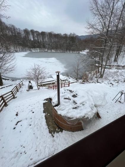 LAC MOGOSA, vila D+P+E+M cu 3ari teren! - 2