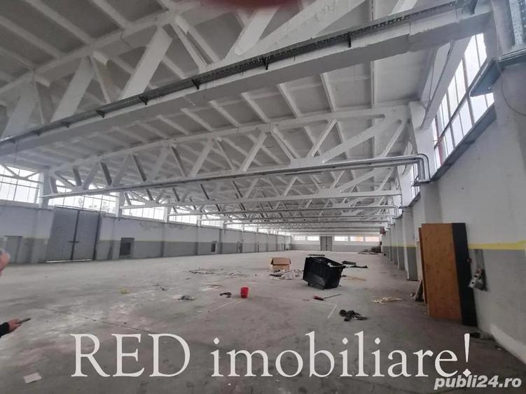 OFERTA - Proprietate industriala de vanzare zona Banovi?a, spate Dedeman, str. Pade? - 2