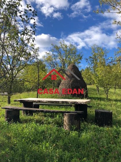 Teren extravilan in Brebu(Pietriceaua)--9104mp--50.000e - 3