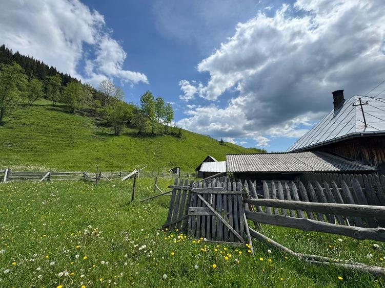 Vând proprietate 3,5 ha în Breaza de Sus, jud. Suceava, pe malul râului Moldova - 7