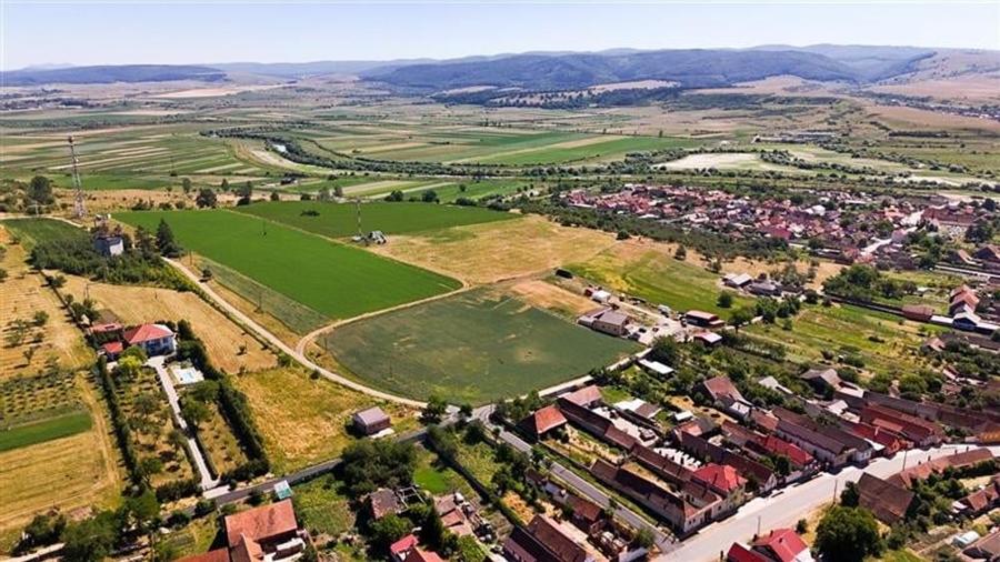 6 loturi casa Maierus,1.375mp,langa DN13, Doripesco,Brasov: 35min, zona verde:FI - 17