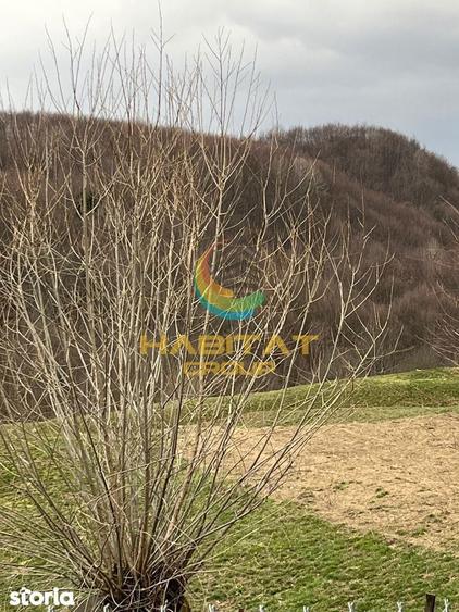 Teren intravilan cu apa/curent 5/mp Corbeni-Arges - 7