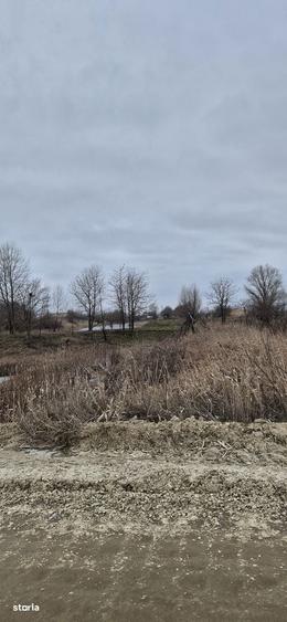 Teren extravilan plus luciu de apa - 8