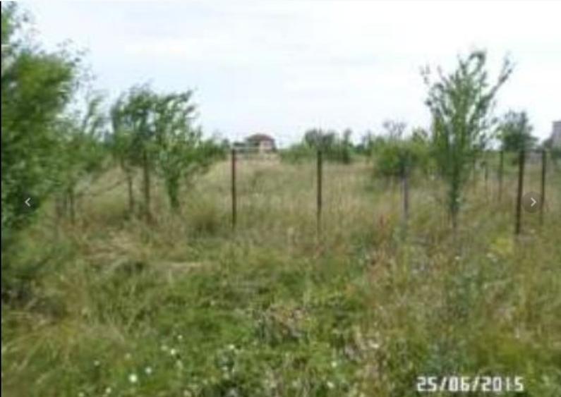 Teren Construcții intravilan de 3200 mp, în Clinceni - 1