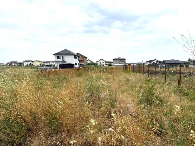 Teren Intravilan pe Strada Bega/Com. Berceni – Locatia Perfecta pentru Casa Ta - 3