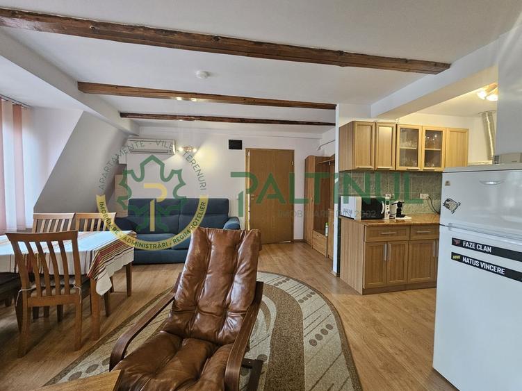 Apartament de închiriat la casă, 2 camere, aproape de Parcul Sub Arini – Sibiu - 4