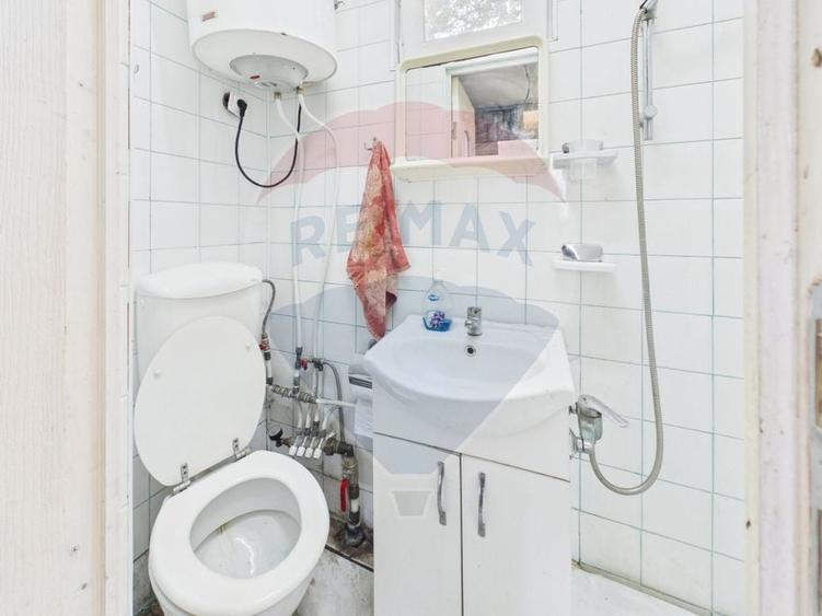 Casă 65 mp + teren 4000 mp, livadă, Butimanu - 15
