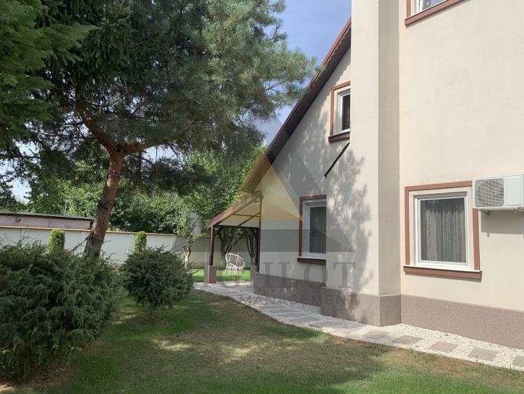 LIZIERA PADURII SAFTICA BALOTESTI CASA SI TEREN INCHIRIERE - 14