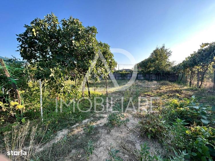 Casa de vanzare in Urechesti - 3