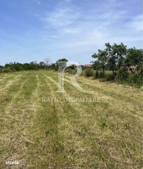 Teren cu proiect de casa | Sititelec | Bihor - 3