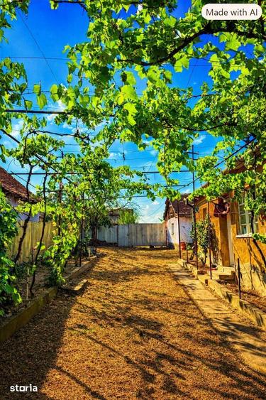 Casă cu 2 camere cu Teren 1603 Mp în Mădăras