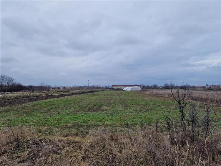 Teren intravilan de 1167 mp, în Borș