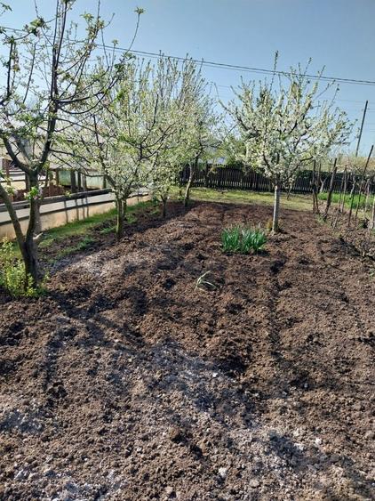Vand casa ( teren 2.000 mp) in sat Pietrele, jud. Giurgiu - 16
